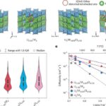 Laboratoriyada hazırlanmış yeni antikor siçanlarda daha aşağı dozalarda IVIG effektivliyinə uyğun gəlir