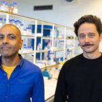 Yeni parça günəş işığının 96%-ni əks etdirir ki, həddindən artıq istidə geyinənləri sərinləşdirir