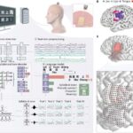 X-ray görmə ilə 3D xaotik mikro boşluqların içərisinə baxmaq