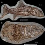 Ulduzların doğulduğu yerlərdə çaşdırıcı ultrabənövşəyi şüalanma