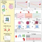Çay yarpağı təcrübələri tropik meşələrin iqlim dəyişikliyinə daha yaxşı dözə biləcəyini göstərir