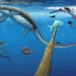 Ev sahibi qalaktikasından çox uzaqda tapılan uzaq Tip İbn fövqəlnovanın mənşəyinin araşdırılması