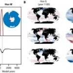 Kooperativ məməlilər tək, rəqabət qabiliyyətli növlərə nisbətən daha az xərçəng nisbəti göstərir