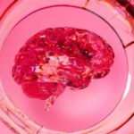 Orta və şiddətli yuxu apnesi daha yüksək beyin mikro qanaxma riski ilə əlaqələndirilir