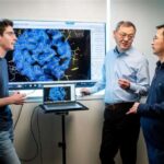 Elektronlardakı maddənin kvant “langırt” vəziyyəti həm keçirici, həm də izolyasiya xüsusiyyətlərinə imkan verir, fiziklər kəşf edirlər