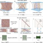 İşıqla idarə olunan embrionlar insan inkişafında mexaniki qüvvələrin gücünü ortaya qoyur