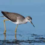 Ultra güclü, yüngül metal kompozit həddindən artıq istilərə tab gətirə bilər