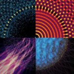 Kinase atlası hüceyrə siqnal tənzimlənməsinin gizli təbəqələrini açır