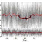 Nəsli kəsilməkdə olan lemurlar lüks ət ticarətinin yeni təhlükəsi ilə üzləşirlər