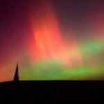 Hesablama prosesi onilliklər ərzində aparılan xəstəlik biologiyası tədqiqatını günlərlə sıxlaşdıra bilər