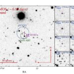 Miyeloid mimikası böyrək şişlərinin immunoterapiyaya müqavimət göstərməsinə və sürətlə pisləşməsinə imkan verir, araşdırma tapır