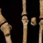 Meteorit nümunələri erkən günəş sisteminin zaman kapsullarıdır