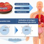 Genetik tədqiqat impulsiv qərar verməni geniş spektrli sağlamlıq və psixiatrik risklərlə əlaqələndirir