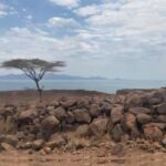 Ultra nazik 3D displey geniş bucaqlı, yüksək detallı şəkillər təqdim edir