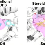 Generativ chatbotlar miqyasda fərdiləşdirilmiş təhsil vəd edir, lakin dəqiqlik problemləri ilə mübarizə aparır