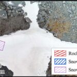 Tədqiqatlar psixiatrik və nevroloji pozğunluqların ortaq genetik köklərini ortaya qoyur