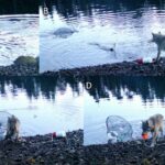 Uşaqlar idmanı, oxumağı və incəsənəti tərk etdikcə sosial mediadan istifadə artır