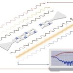 İqlim ekstremalları Böyük Sədd rifində nadir mərcan xəstəliyinə və kütləvi ölümlərə səbəb olur