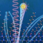 Tirzepatidin faydaları çoxu üçün azalır: Çəki və sağlamlıq göstəriciləri çəkildikdən sonra bərpa olunur, araşdırma tapır