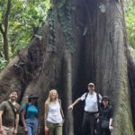 Tədqiqat göstərir ki, siçan korteksindəki ixtisaslaşdırılmış neyron populyasiyaları düzgün qərarlar vermək üçün koordinasiya edir
