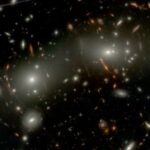 Məşq qlükoza qəbulunu əzələlərə köçürməklə siçanlarda şiş böyüməsini yavaşlatır