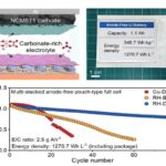 İnsanlarda 33-ə qədər hiss orqanı ola bilər
