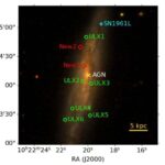 CRISPR əsaslı platforma hüceyrələr və xəstəlik arasındakı əlaqəyə daha parlaq işıq saçır