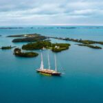 Ölümcül bir qarışıqlıq: Müəyyən bağırsaq bakteriyaları necə çox skleroza səbəb olur