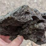 Süni intellekt alətlərindən istifadə edən alimlər əvvəlkindən daha çox məqalə dərc edirlər