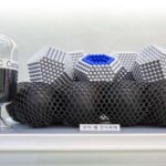 Arxeoloji tədqiqat paleo pəhrizini çətinləşdirir, insanların uzun müddət “işlənmiş bitki qidaları” yediyini ortaya qoyur