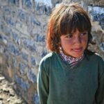 Göbələk müttəfiqləri infeksiya qaydalarını yenidən yazaraq bitki köklərini xəstəliklərə qarşı silahlandırırlar