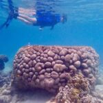 Araşdırmalar göstərir ki, okean axını və dəniz dibinin forması buz rəfləri altında isti suyun dövriyyəsinə təsir göstərir