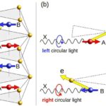 Niyə insan beyni primat qohumlarından daha yavaş yetkinləşir