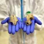 Silikon karbid kubitlərinə əsaslanan kvant sensoru otaq temperaturunda işləyir