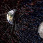 Braziliyanın bulud meşələrində yeni bir növ kiçik narıncı qurbağa kəşf edildi