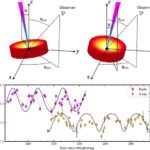 Kanar adaları qlobal dəniz kirpisi qatili pandemiyasında “itkin halqa” ola bilər