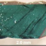 Şiddətli quraqlıq 61.000 il əvvəl hobbitlərin azalması ilə əlaqələndirilib