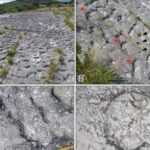 “Buzlu vulkanlarla” örtülmüş ulduzlararası obyekt kometlərin necə əmələ gəldiyinə dair anlayışımızı yenidən yaza bilər