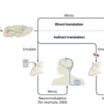 Parker Solar Probe günəş küləyinin “geri dönüşünü” müşahidə edib