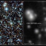 Tunc dövrü vəbası necə yayıldı? Qoyun sirrini həll edə bilər