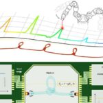 Yeni pəncərə izolyasiyası istiliyi bloklayır, amma görünüşünüzü bloklamır