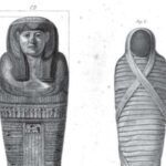 Psilosibinin depressiya ilə əlaqəli beyin dövrələrini necə dəyişdirdiyini öyrənin