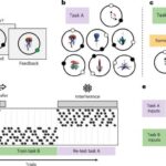 Amin turşuları ilə yüklənmiş asteroid Yerdəki həyatın mənşəyi haqqında yeni ipuçları təqdim edir