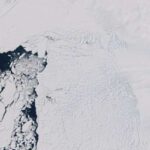 Yeni bir alqoritm hüceyrənin taleyini yalnız bir genetik anlıq görüntüyə əsasən necə proqnozlaşdırır