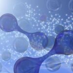 Tədqiqatçılar itlərdə tapılan yeni Rickettsia növlərini təsdiqləyirlər