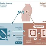 Speech-to reality sistemi süni intellekt və robot texnikasından istifadə edərək tələb olunan obyektlər yaradır