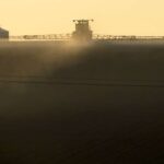 DNT hiylələri vərəmin müalicəyə qarşı mübarizə aparmasına necə kömək edir