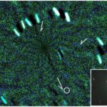 Tədqiqatın nəticələrinə görə, deqradasiyaya uğramış torf sahələri əvvəllər düşünüldüyündən təxminən iki dəfə çox istixana qazı buraxır