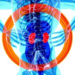 Özünü uyğunlaşdıran lif komponenti yüksək güclü fiber lazerlərdə istilik problemlərini həll edir