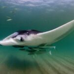 3D çap alüminiumun yüksək temperatur zəifliyini həll etməklə daha güclü avtomobil hissələri necə yaradır